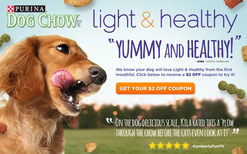 Dog Chow Light & Healthy